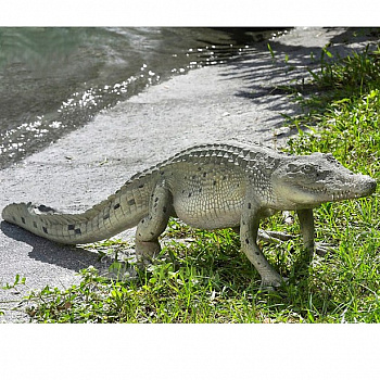 Декоративная фигура из полистоуна Крокодил, 23,5*127,6 см,  080112